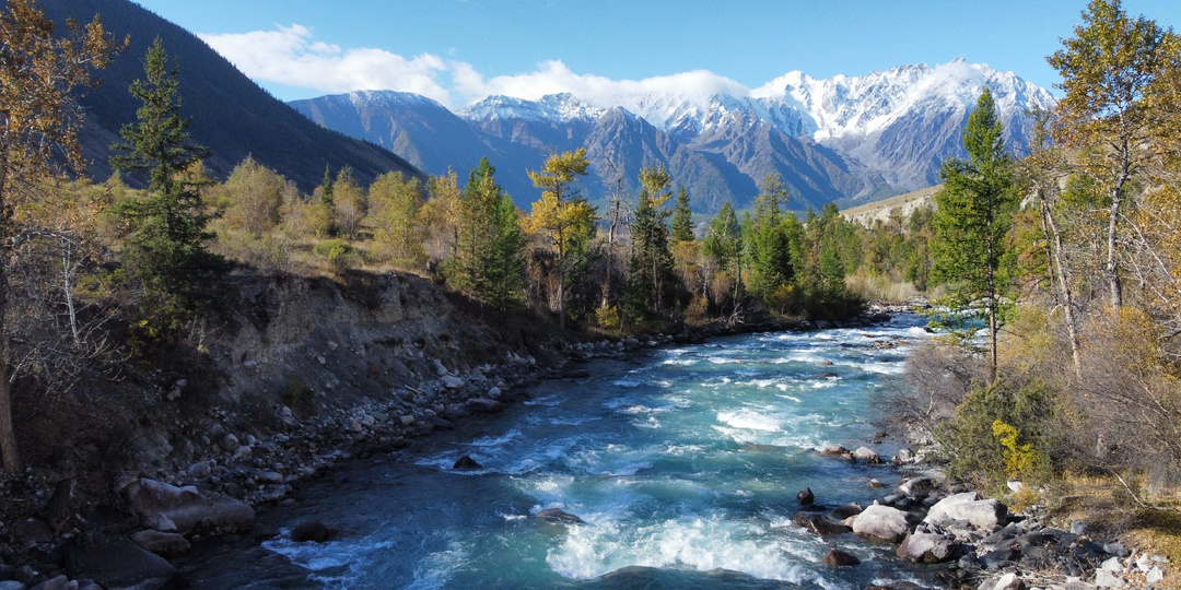 📝 «Земля» предлагает улучшить законы по охране природы