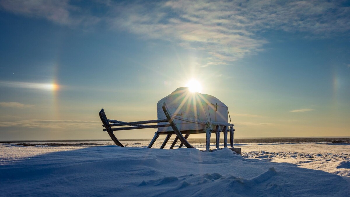    Фото: Фёдор Воронов / «Ямал-Медиа»