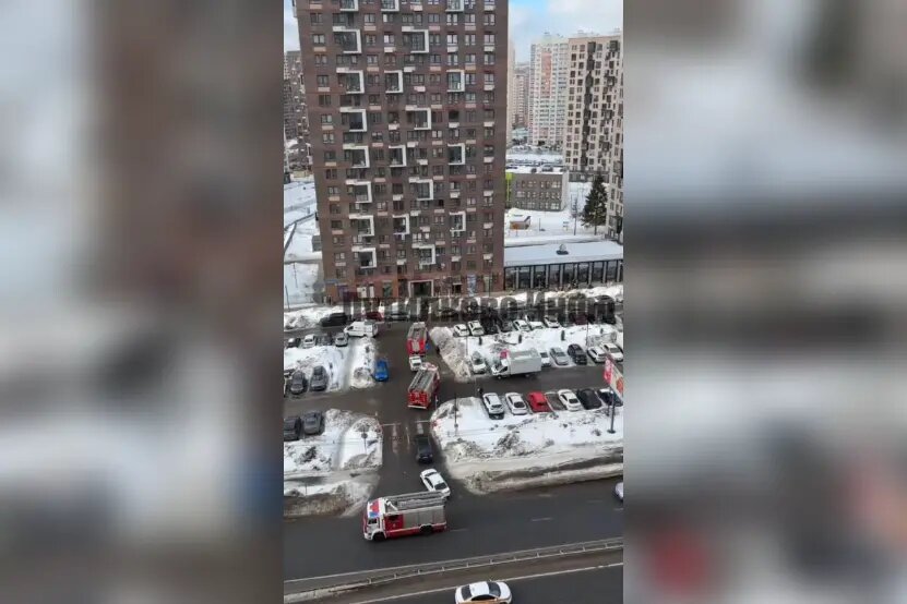    Фото: кадр видео из телеграм-канала «Путилково Инфо»