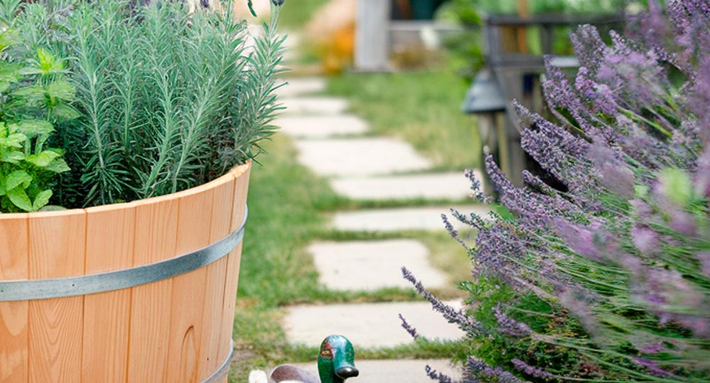 Пасторальный сад: нежная идиллия природы с ноткой романтического шарма 🌸🕊️