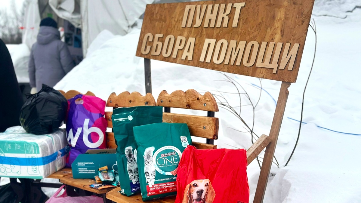    Помощь носикам - в Нефтеюганске провели благотворительный зоофестиваль