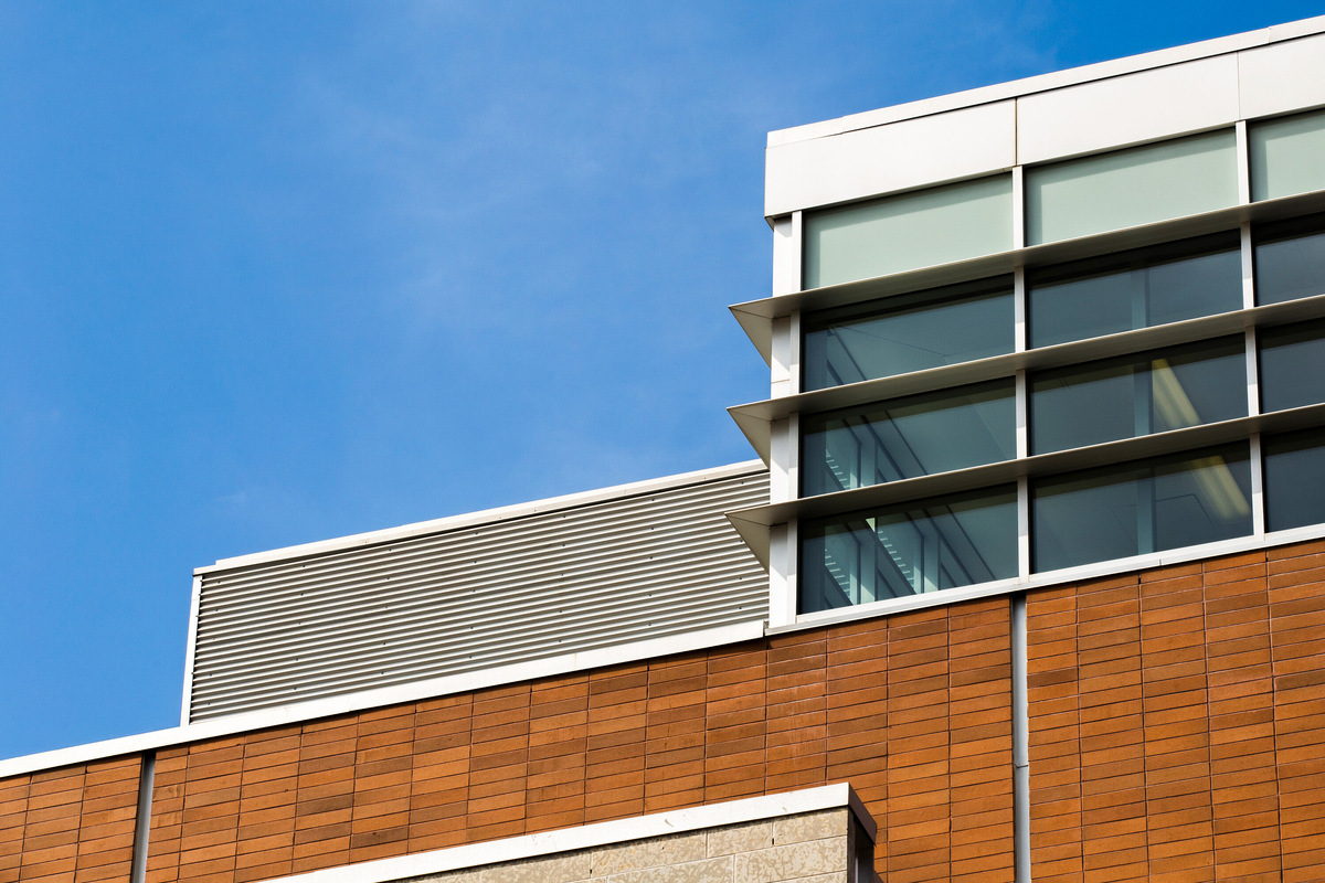 Фото: freepik / Freepik