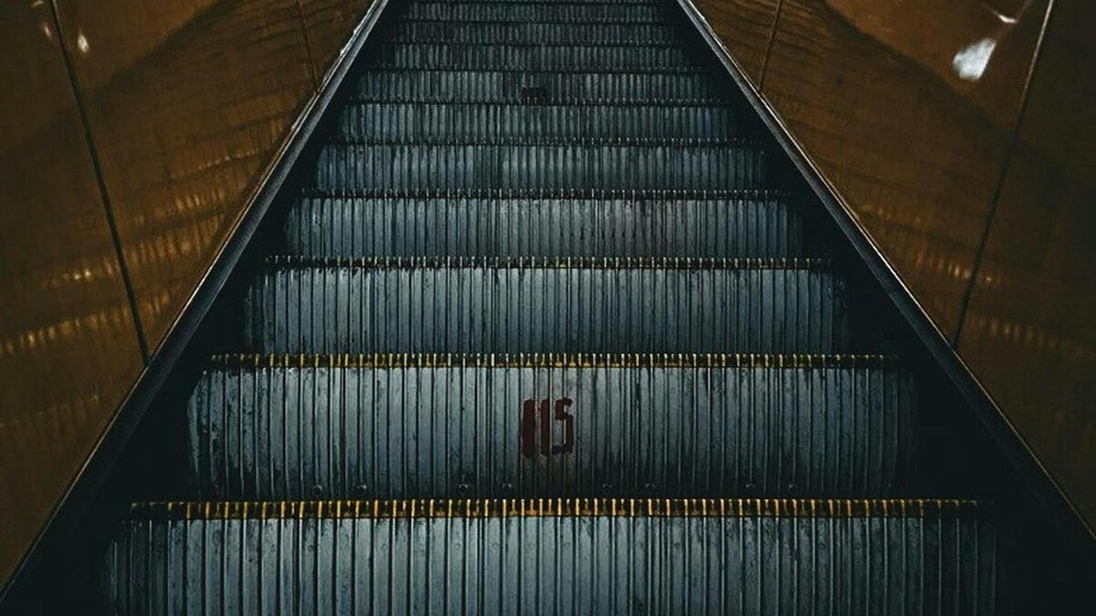    Фото: pexels.com