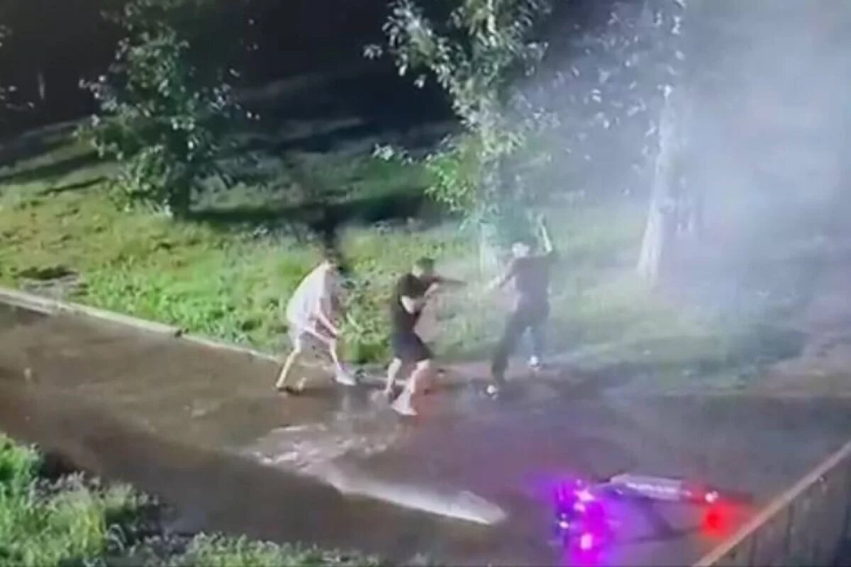    Бежали, истекая кровью.