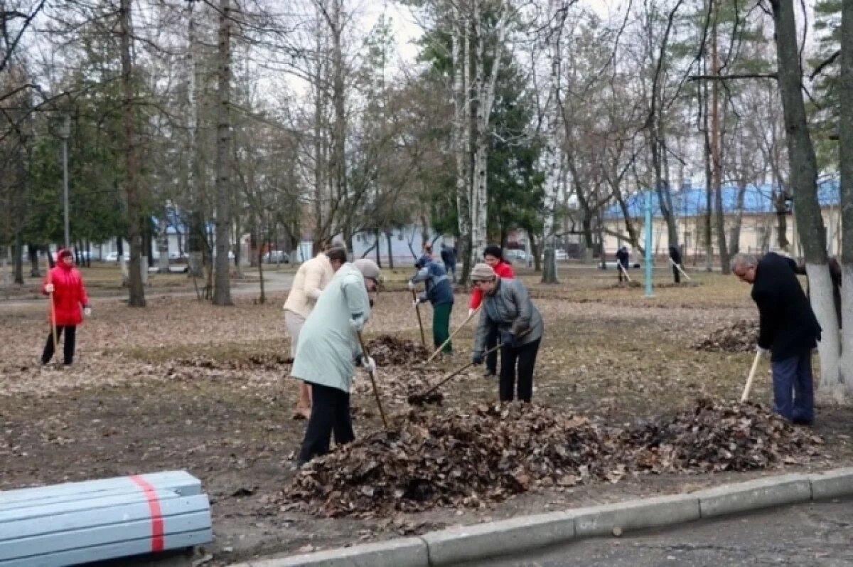    В Брянске 20 марта пройдет санитарная пятница