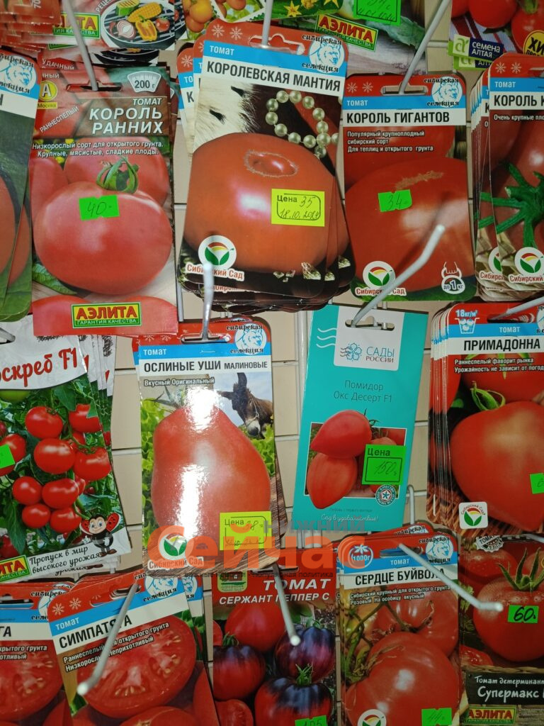    Фото: Россельхознадзор Редакция nn-now