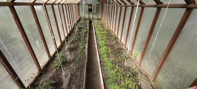    Фото: Лукьянов Дмитрий, AgroXXI.ru