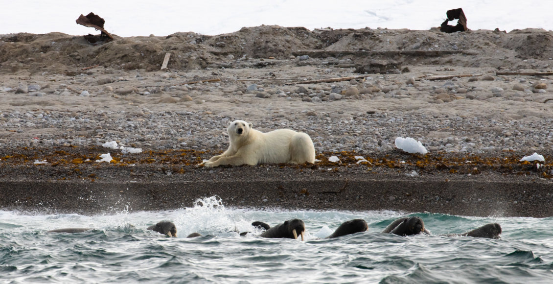    Фото: ПАО "Роснефть"