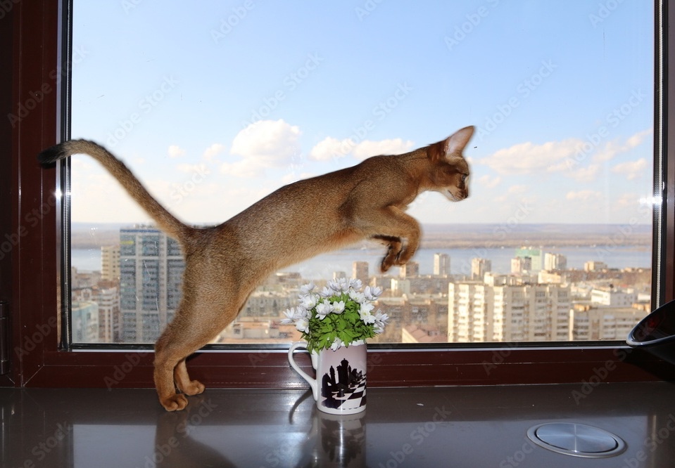 Фото из Интернета. 