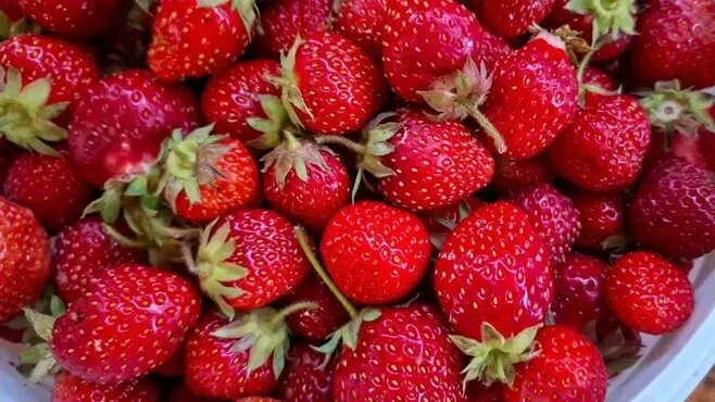  Фото: REGIONS/Юлия Габбасова