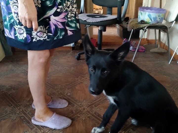 Тонконогую мою малоежку потянуло к земле