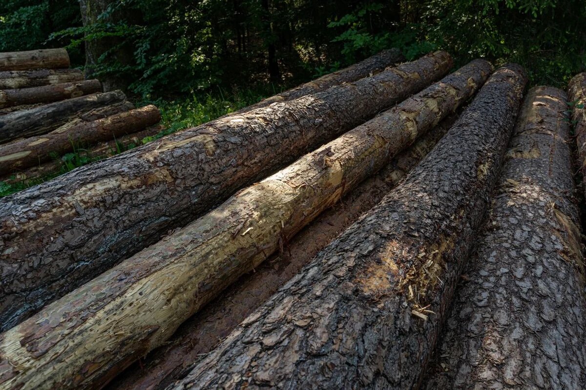    Фото freepik.com