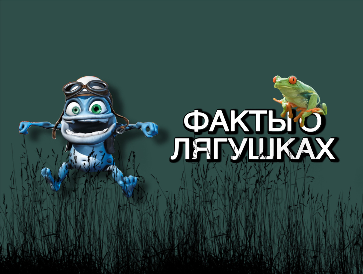 Фото: интересные факты о лягушках (Товарищ Фактов)