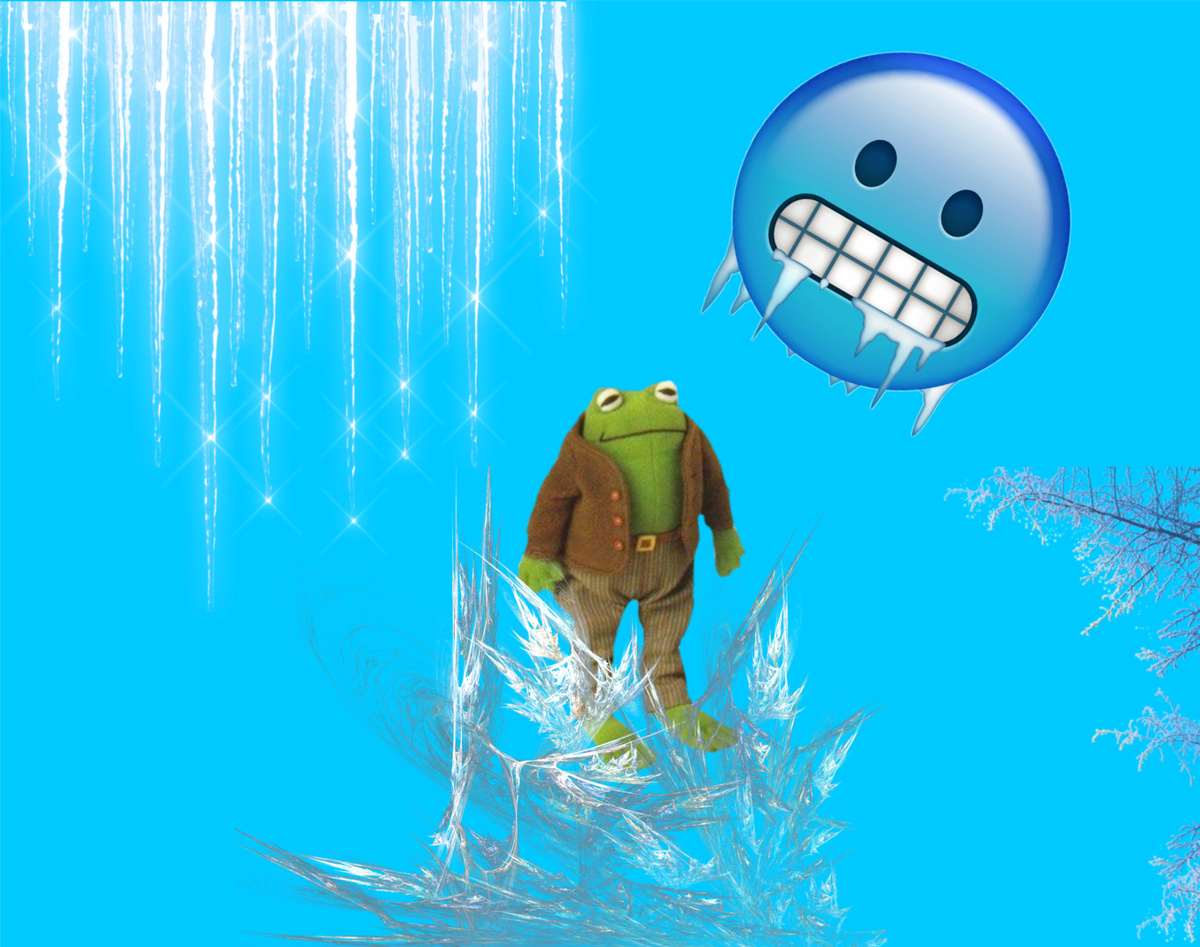 Фото: Лягушка-ледышка