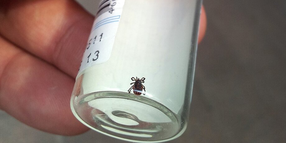    Фото: Москва 24/Александр Сивцов