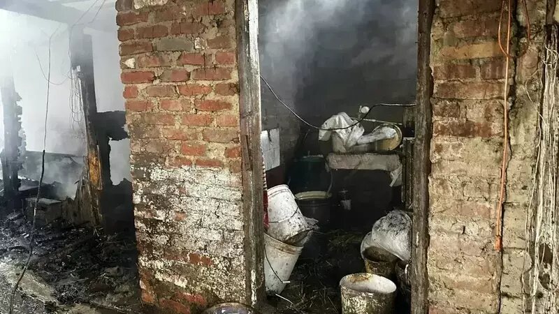    Ни одно животное не пострадало при пожаре Фото: ПАСС СК