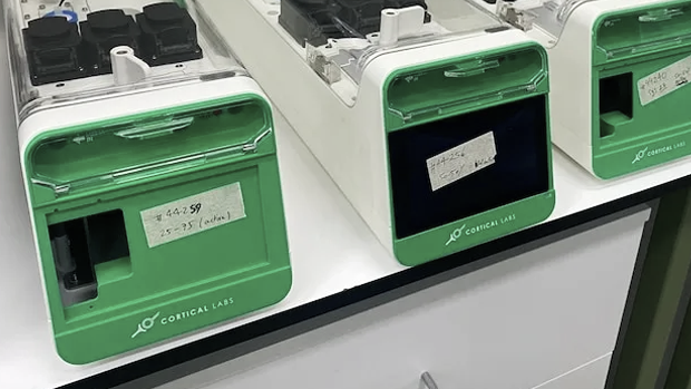 Модуль CL1 от австралийского стартапа Cortical Labs. В герметичном резервуаре — до 800 тысяч живых нейронов на кремниевой подложке. Система поддерживает температуру, фильтрацию и газообмен, обеспечивая жизнь «биопроцессора» до 6 месяцев.