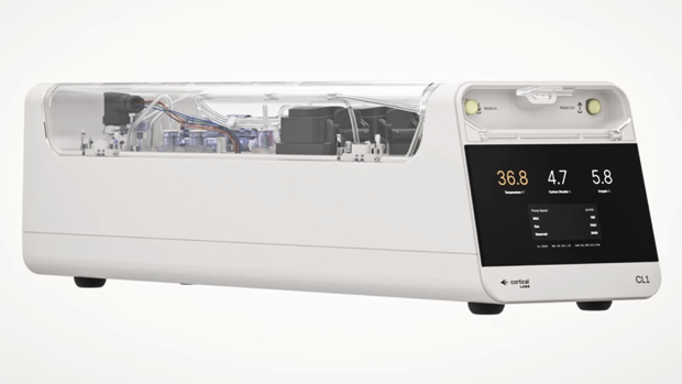 Стартап Cortical Labs начал сдавать живой мозг в аренду...