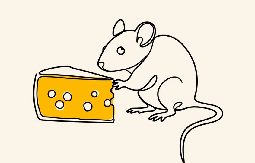 Как быстро и навсегда избавиться от мышей в квартире или доме