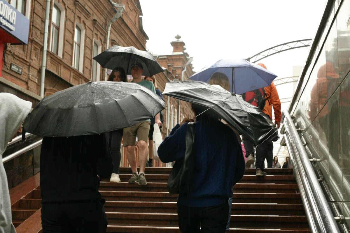    Фото: Анастасия Сибирякова