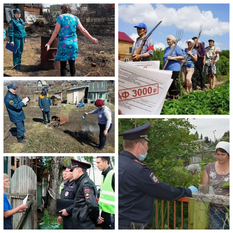 Конфликтов с законом, соседями или штрафов можно легко избежать. 