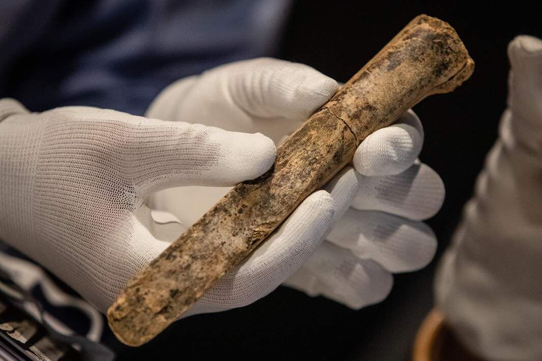 Фото: Global Look Press/Christoph Schmidt