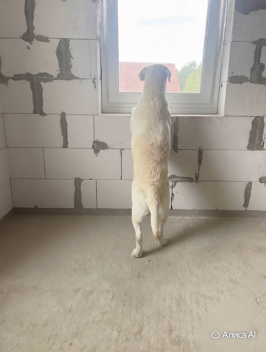 Где же мой дом? Эксперт проводит оценку качества установки окон