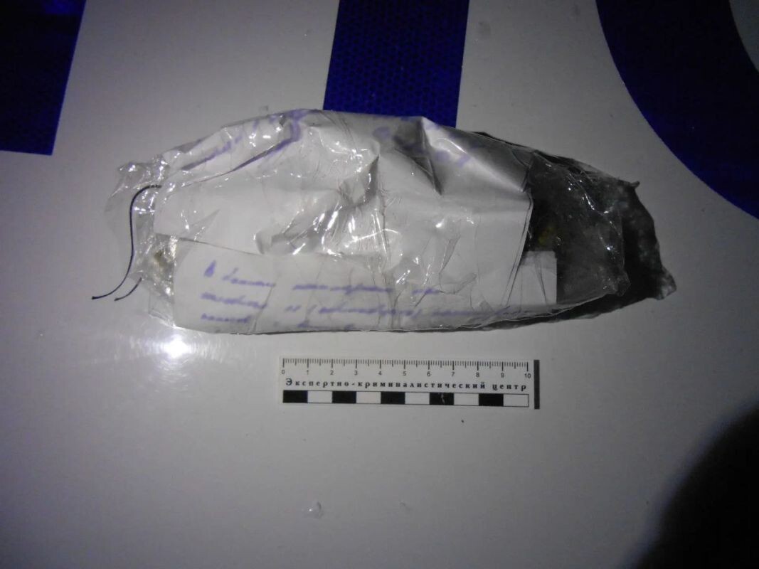    Фото: УМВД по Воронежской области