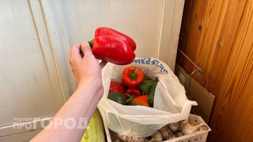    Фото ИИ Про Город