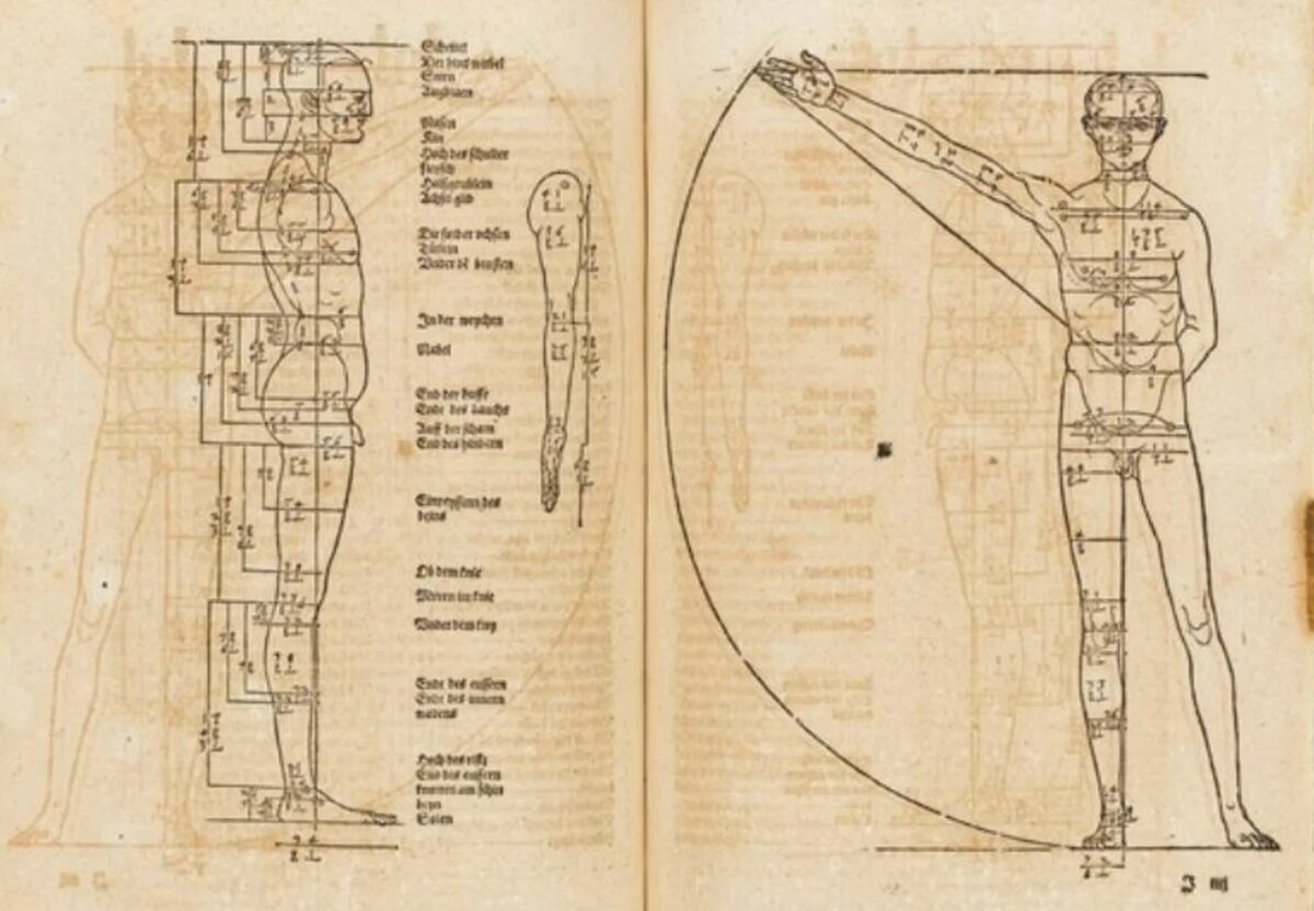 Альбрехт Дюрер "Пропорции человека", 1528