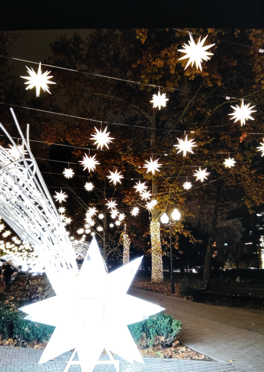 г. Краснодар