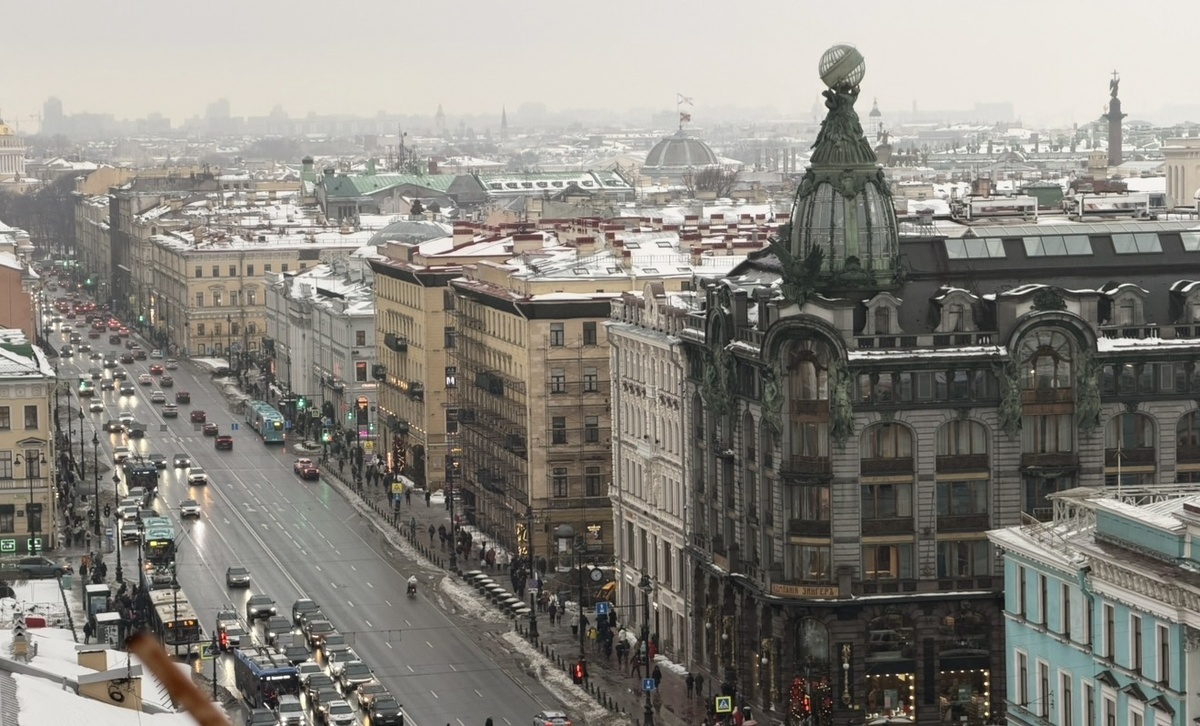 Санкт-Петербург, вид с Думской башни