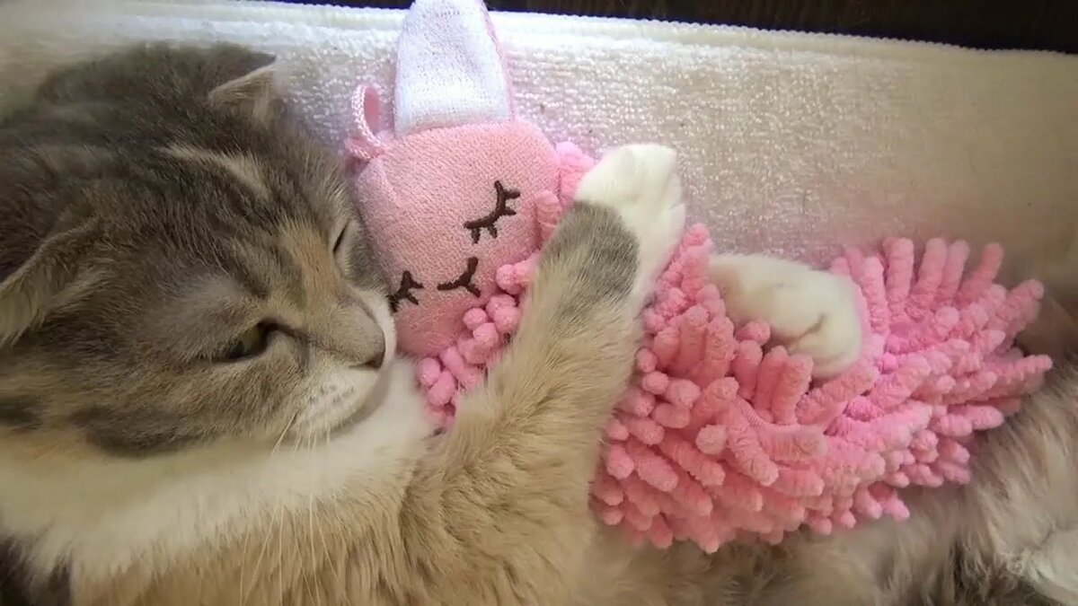 -Моя прелессть!