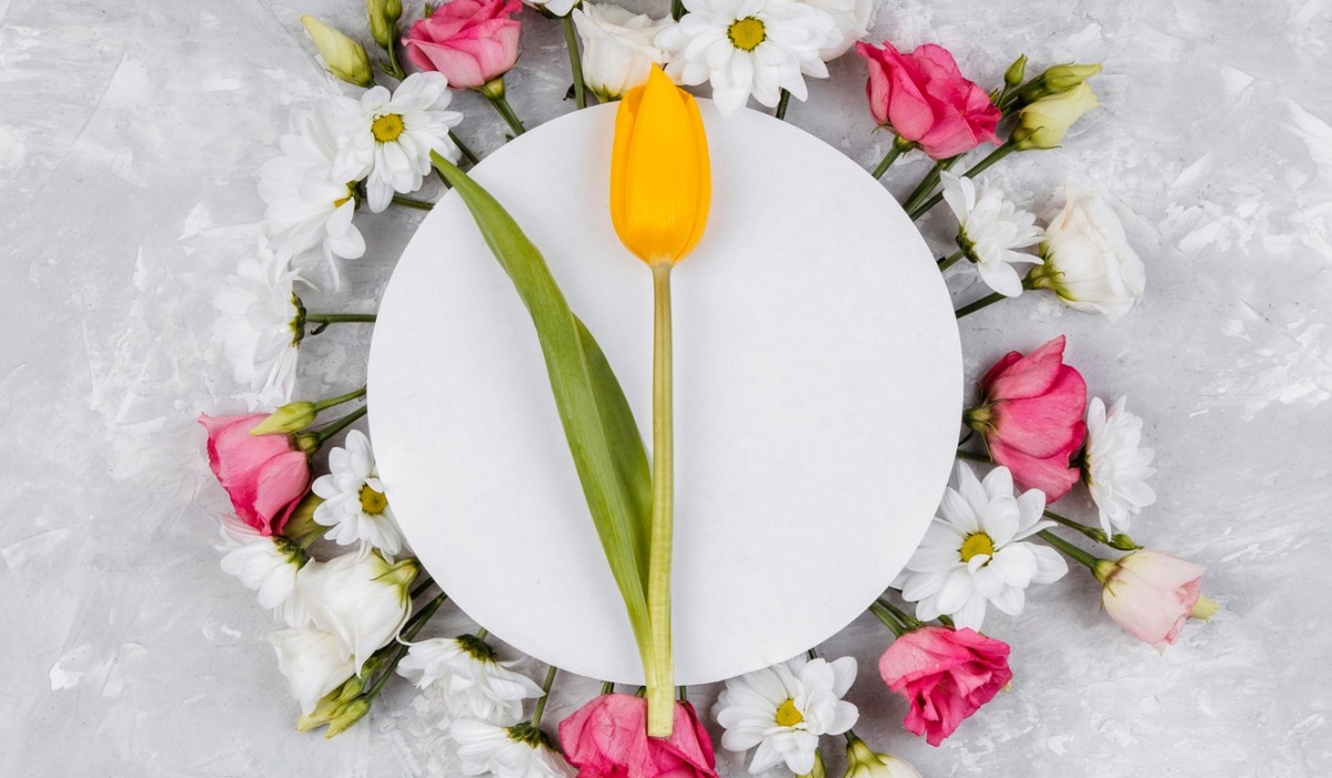    Фото: freepik.com