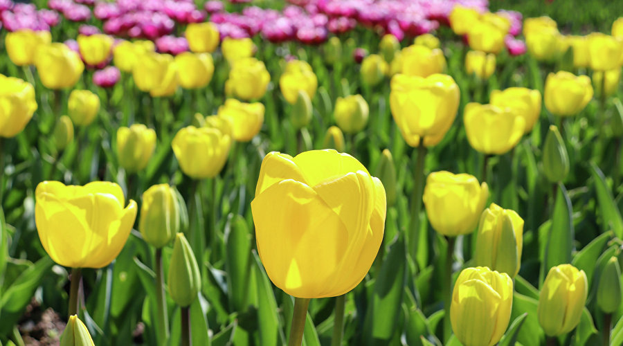 Фото: Надежда Дудина