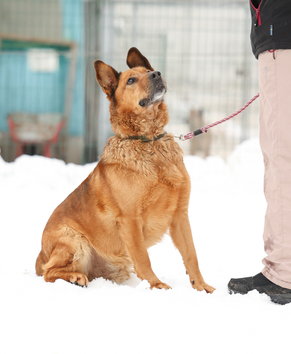 Будем пробовать снова и снова?