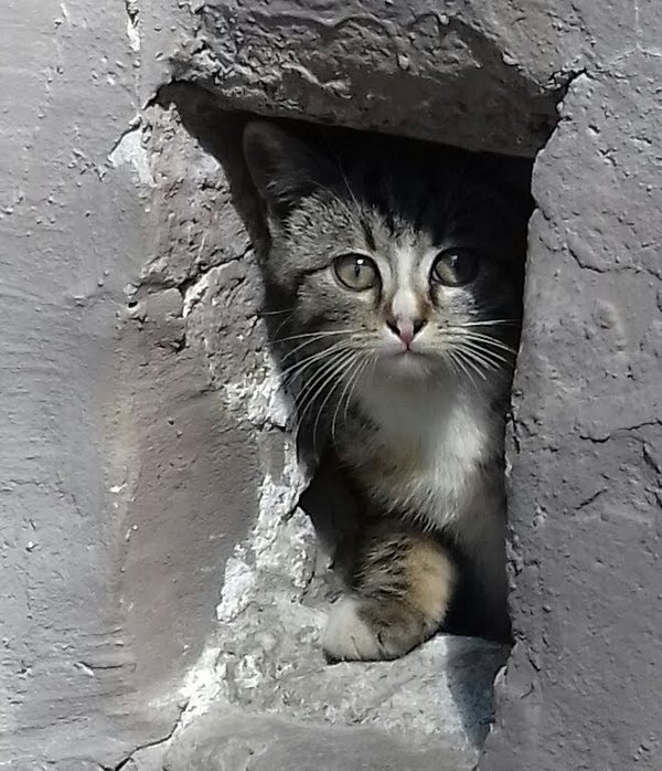 Маленькое чудо заглядывает в большой мир