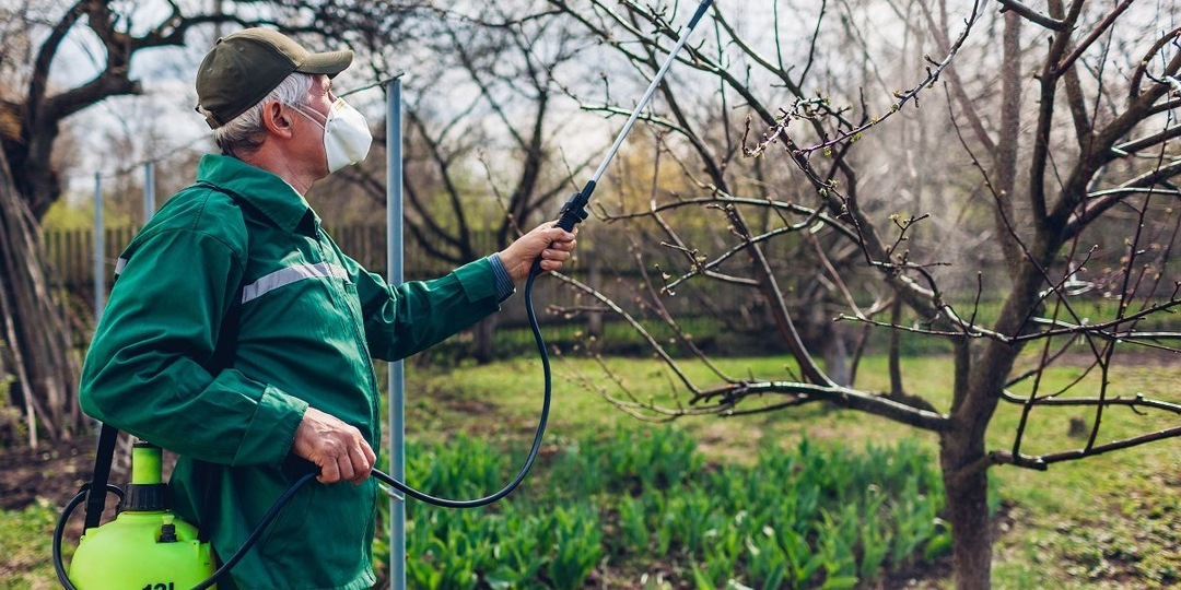 Фунгициды и инсектициды весной для обработки сада: что выбрать, а от чего отказаться
