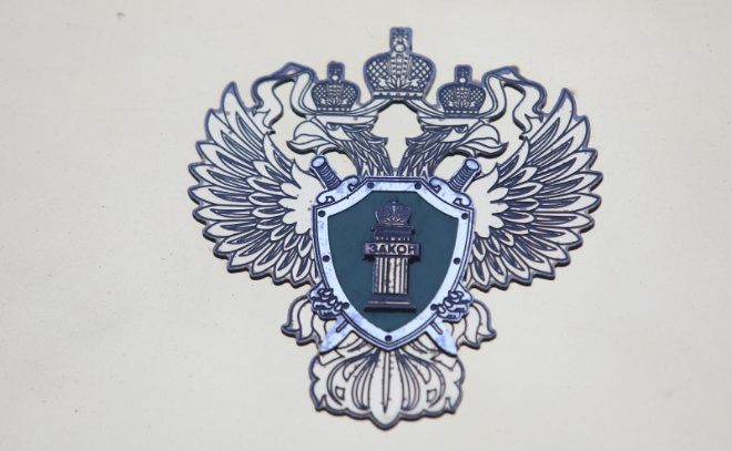    © Роман Пименов/«Петербургский дневник»