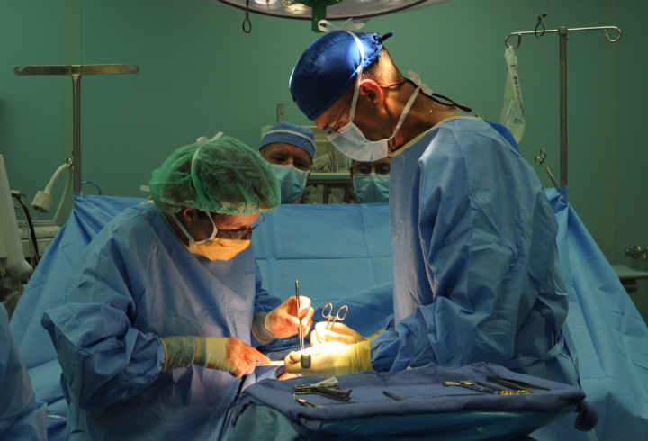 фото: pxhere.com