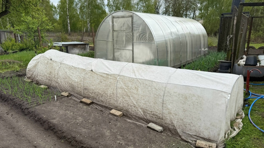    Из архива редакции