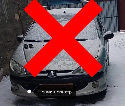 Федьма или фея?) вынуждена сменить транспорт!