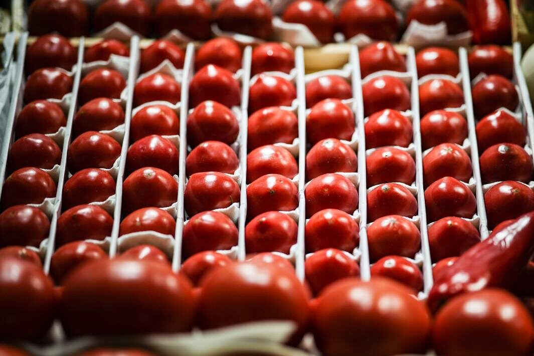 Фото: ИЗВЕСТИЯ/Сергей Лантюхов