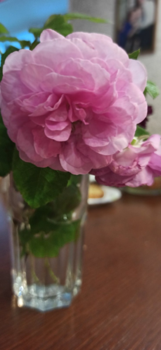 (Фото автора) для настроения 