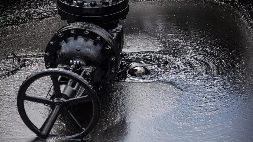    Источник: russian.rt.com Ева Усова