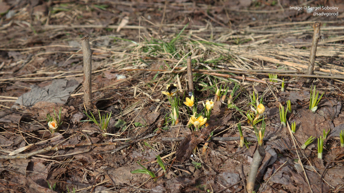 Кто-то тут шевелится!