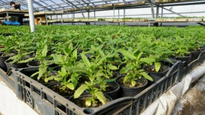    Официальная страница Администрации города Оренбурга