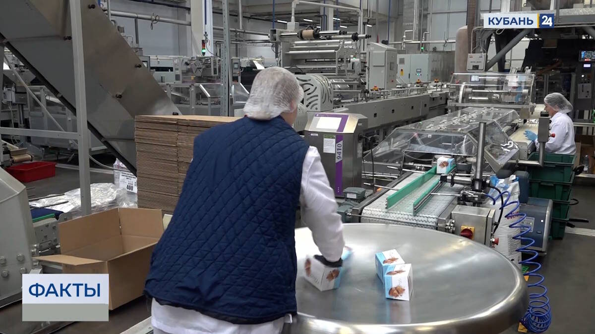    Скриншот видео телеканала «Кубань 24»