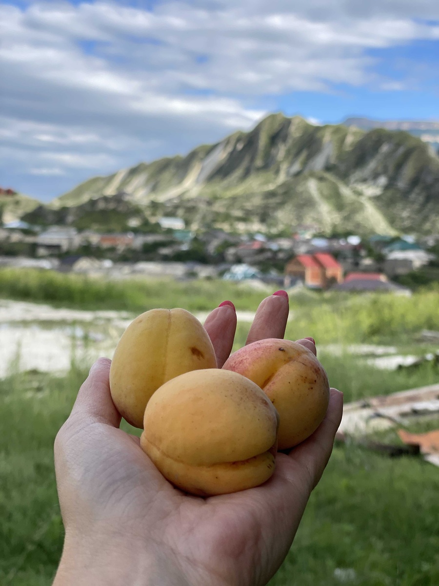 яства Дагестана