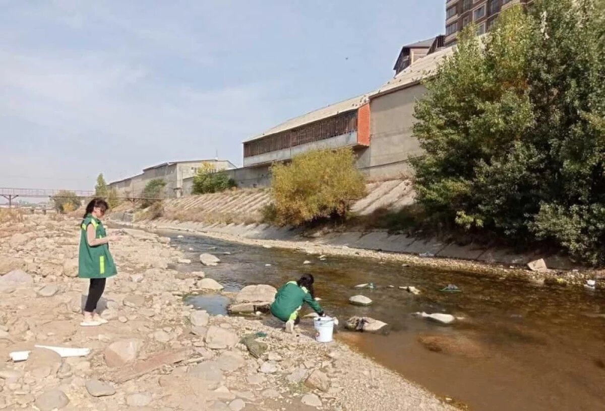    Ведомства регулярно берут пробы и обещают разобраться с проблемой, но пока тщетно.